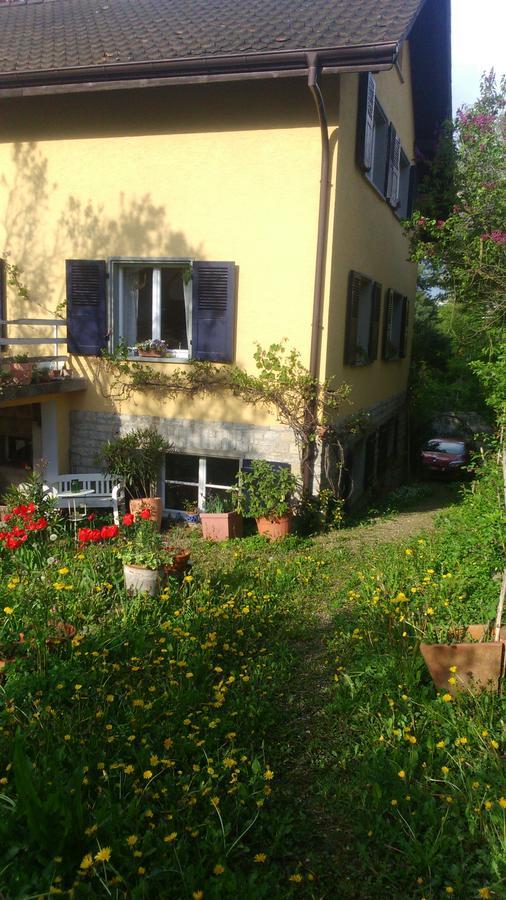 B&B Am Park Rheinfelden Exterior photo